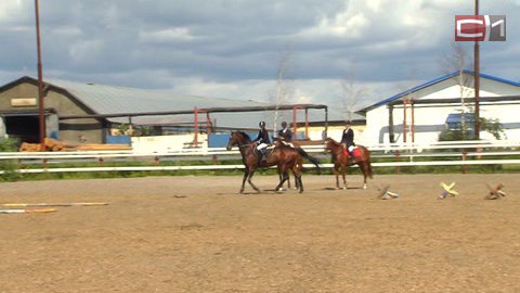 Сургутская наездница взяла золото турнира УрФО по конному спорту