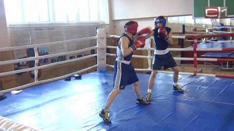 Сургутские боксёры на ЧР намерены получить путёвку на европейские ринги