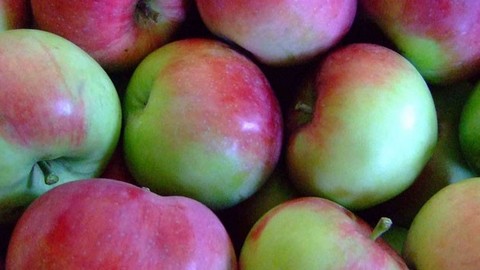 Россия ограничивает торговлю с Молдавией: под запрет попали яблоки, абрикосы, черешня и  другие фрукты