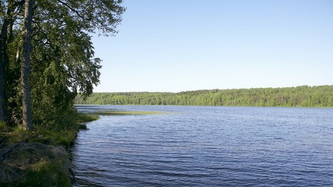 В озере на Белом Яру обнаружен труп мужчины