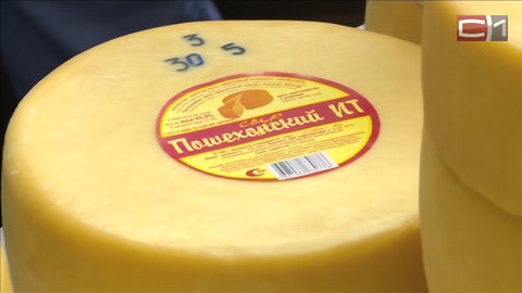 Дорогой импортный сыр готовы заменить аналогами тюменские производители