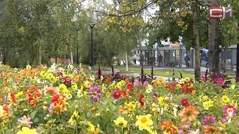 В планах Администрации Сургута - продолжать сажать тюльпаны и создавать парки. Хотя бы по одному в год