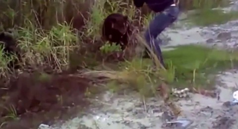Один из участников жестокой расправы над медвежонком в Югре написал явку с повинной