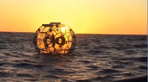Американский «Форрест Гамп» пытался добежать до Бермуд по океану в надувном шаре