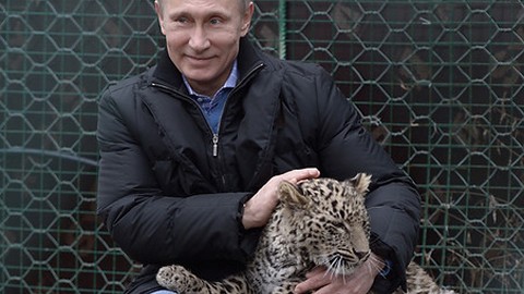 Коррупция как авгиевы конюшни и США в роли Цербера. Фотовыставку «12 подвигов Путина» готовят в Москве