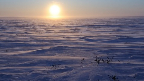 «Это тысячи туристов». Россия будет развивать эко-туризм в Арктике