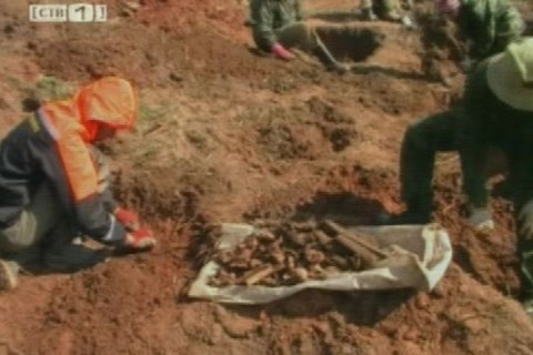 Отряд «Поиск» вернулся из Новгородской области