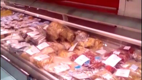 Дорвался. Кот во Владивостоке съел с прилавка магазина деликатесы на 60 тысяч рублей. ВИДЕО