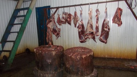 Антисанитарную скотобойню нашли на Белом Яру: мясо заготавливали рядом с кучами навоза. ФОТО