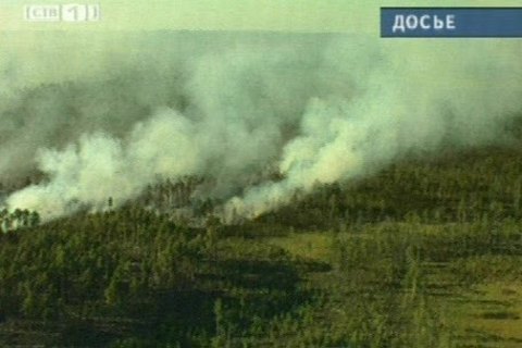 Во вторник в Сургутском лесничестве тушили три лесных пожара.