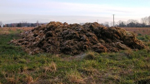 Экологический ущерб в 340 миллионов рублей. Поселок Белый Яр стал местом слива свиного навоза