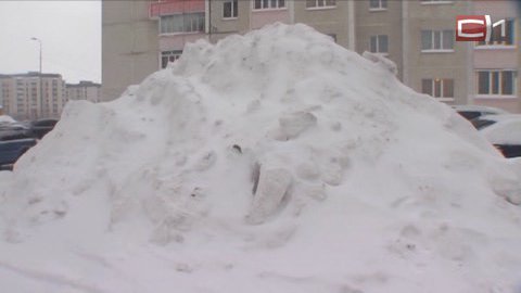 Компании, убиравшие снег в Сургуте, оштрафованы на 2 млн рублей. Договор с ними будет расторгнут