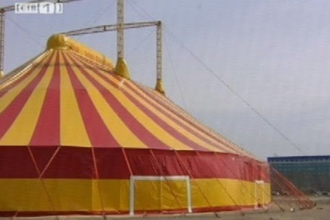 Дети из малообеспеченных семей смогут сходить в цирк бесплатно