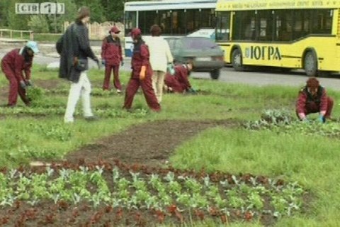 Юных сургутян приглашают на «Экологическую тропу»