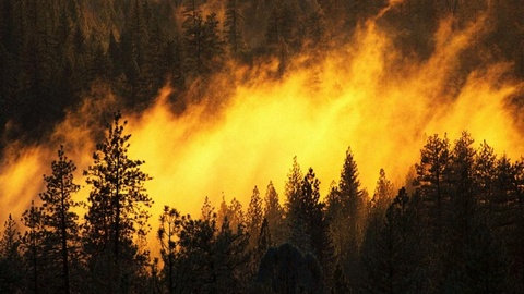 В Сибири горит больше ста тысяч гектаров леса, на Алтае начались паводки