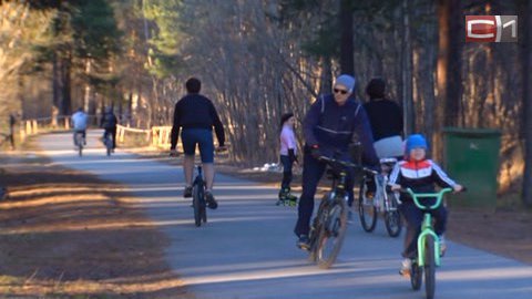 В Сургуте появятся велодорожки. Первую оборудуют уже этим летом