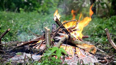 Никаких шашлыков в лесу! МЧС Югры вводит запрет на разведение костров