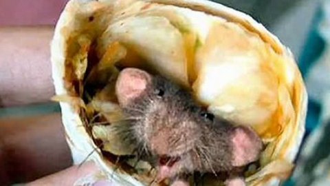 «Монетку» в Нижневартовске закрыли за товары с «деликатесом» - тараканами и крысиным пометом