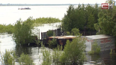 Уровень воды в районе Сургута вновь упал на 2 см. Ситуацию могут усугубить дожди