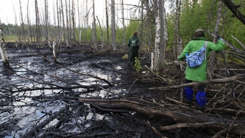 Экологи бьют тревогу по поводу очередного разлива нефти в Югре. На этот раз - в Сургутском районе