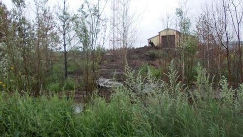 В Сургутском районе навозом затопило лесополосу. Экологов тревожит регулярность таких случаев