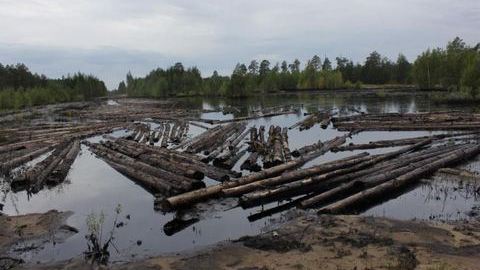Виноваты охотники за «черным золотом». Разлив нефти под Сайгатиной произошел из-за незаконной врезки в нефтепровод