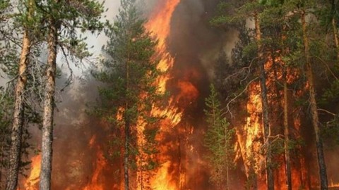 Забайкалье в огне и дыму: лесные пожары бушуют на площади в 4,5 тысячи гектаров