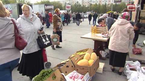 Сельскохозяйственные ярмарки начнутся в Сургуте с конца августа. Впервые приедут производители из Башкортостана
