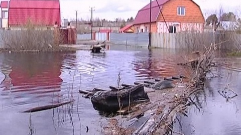 От буйства стихии Нижневартовск может отгородиться дамбой. Цена вопроса — около 20 млрд рублей