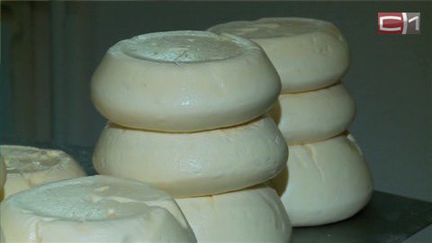 Бесплатный сыр — в мышеловке. Как отличить хороший сулугуни от фальсификата?