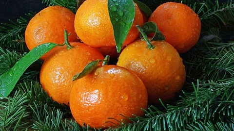 «Новогодние» фрукты к концу декабря подорожают на 40%