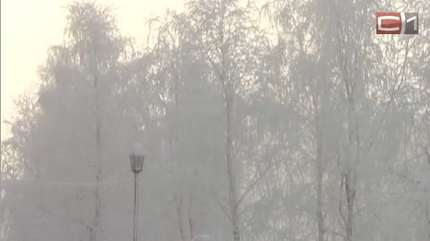 Зима близко. В России предрекают холодный климатический цикл в 60 лет