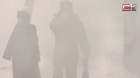 Внимание, водители! Госавтоинспекция предупреждает о тумане на дорогах Югры в ближайшие дни