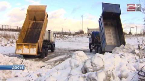 Снегом не занесет. Срок работы полигонов в Сургуте продлили на предстоящую зиму