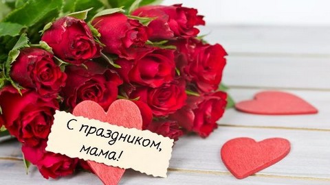 Дороже нет на свете: сегодня в России отмечают День Матери  