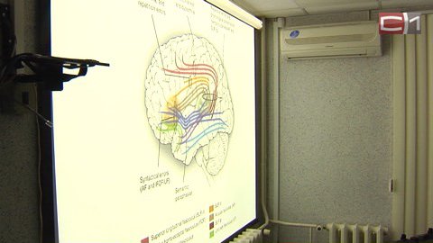 Победить опухоль мозга. Сургутские врачи переняли успешный опыт светила мировой нейрохирургии Михаэля Сабеля
