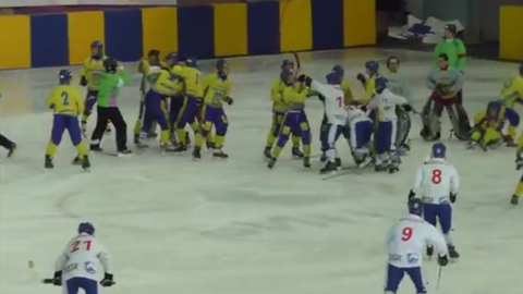 Сборные Украины и Монголии устроили «ледовое побоище» на матче ЧМ по хоккею с мячом. ВИДЕО