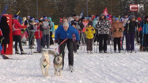 Годовалый лыжник и гонки с собаками. Чем удивила сургутян «Лыжня России» - 2016?