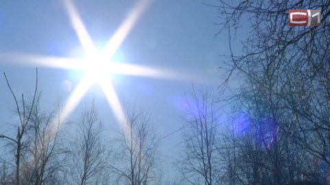 К холодной весне. В Сургуте выдался самый теплый февраль за последние 20 лет
