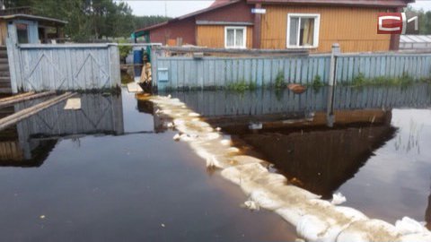 Власти Нижневартовска дали совет дачникам перед паводком - застраховать имущество и уехать