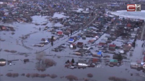 В четырех районах Тюменской области введен режим ЧС из-за паводков. В зоне подтопления - 675 домов