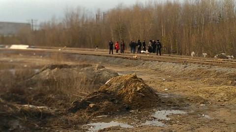 В районе ЖД в Сургуте обнаружены человеческие останки. Место оцеплено. ФОТО