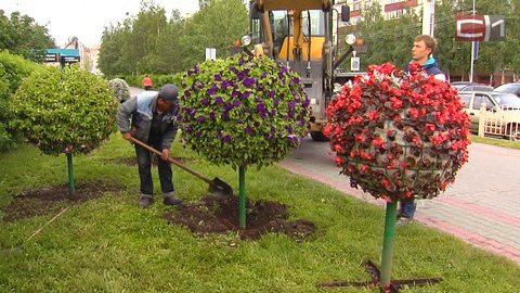 Сургут оказался на 27 месте в рейтинге наиболее экологичных городов РФ