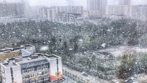 "С первым снегом, господа!". Сургутяне отреагировали на совсем не летнюю погоду с креативом. ФОТО, ВИДЕО