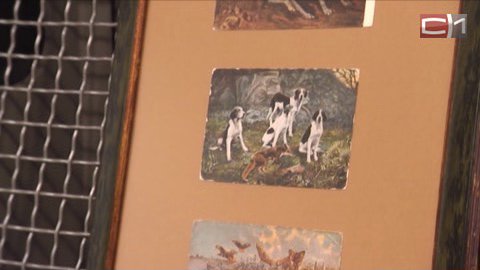 В сургутском музее расскажут "Охотничьи истории в открытках". Животные не пострадают