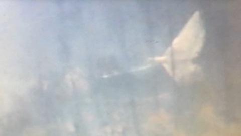 Пропавший Ил-76 полностью cгорел. При падении он проделал 20-метровую просеку в тайге