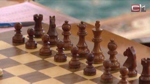 Ход конем. Югорских школьников с 1 сентября начнут учить премудростям игры в шахматы 