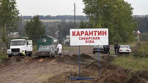 Бедствие на Ямале: из очага сибирской язвы госпитализировали уже 90 человек