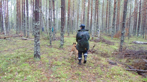 В Югре полицейские нашли потерявшегося в лесу пенсионера: дедушка перенес инсульт и был сильно искусан насекомыми
