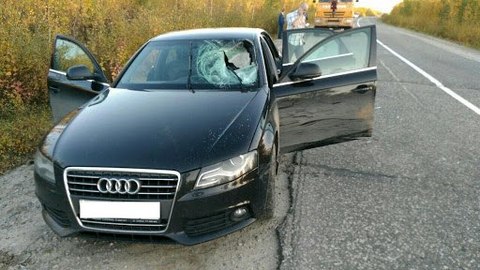 В Ноябрьске в лобовое стекло Audi на ходу влетела упавшая опора автокрана. Водитель в коме. ФОТО